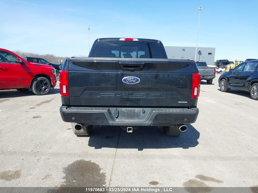 2019 Ford F-150 VIN: 1FTEW1E43KFD02520 Lot: 11970683