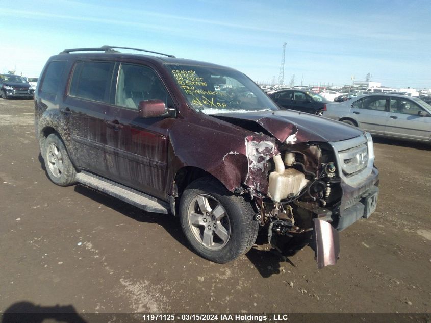 2009 Honda Pilot Exl VIN: 5FNYF48579B500986 Lot: 39239393