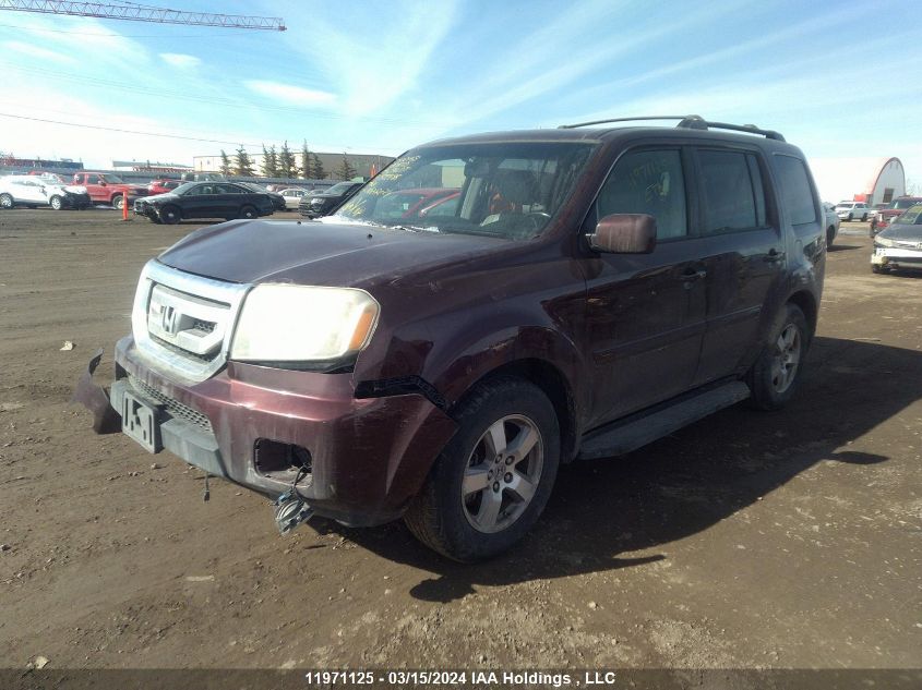 2009 Honda Pilot Exl VIN: 5FNYF48579B500986 Lot: 39239393