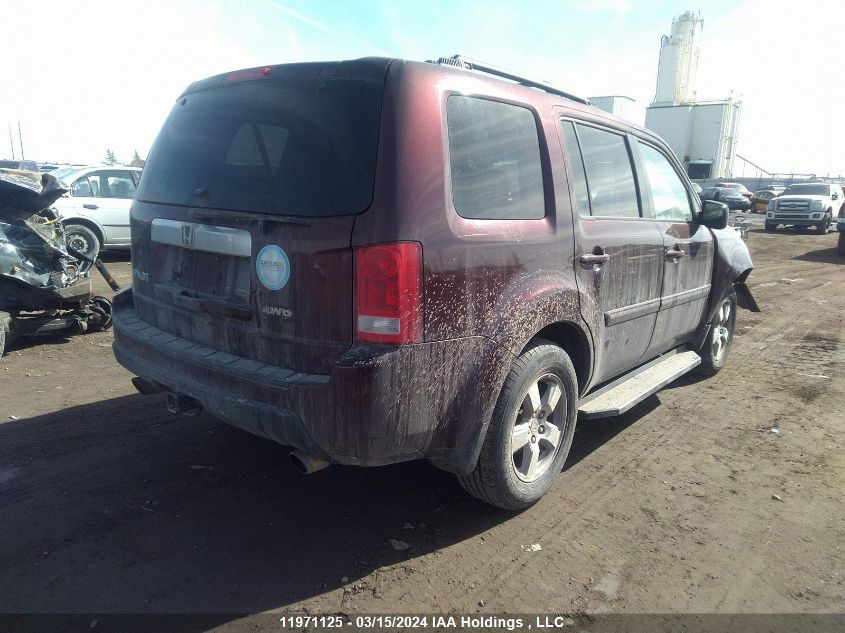 2009 Honda Pilot Exl VIN: 5FNYF48579B500986 Lot: 39239393