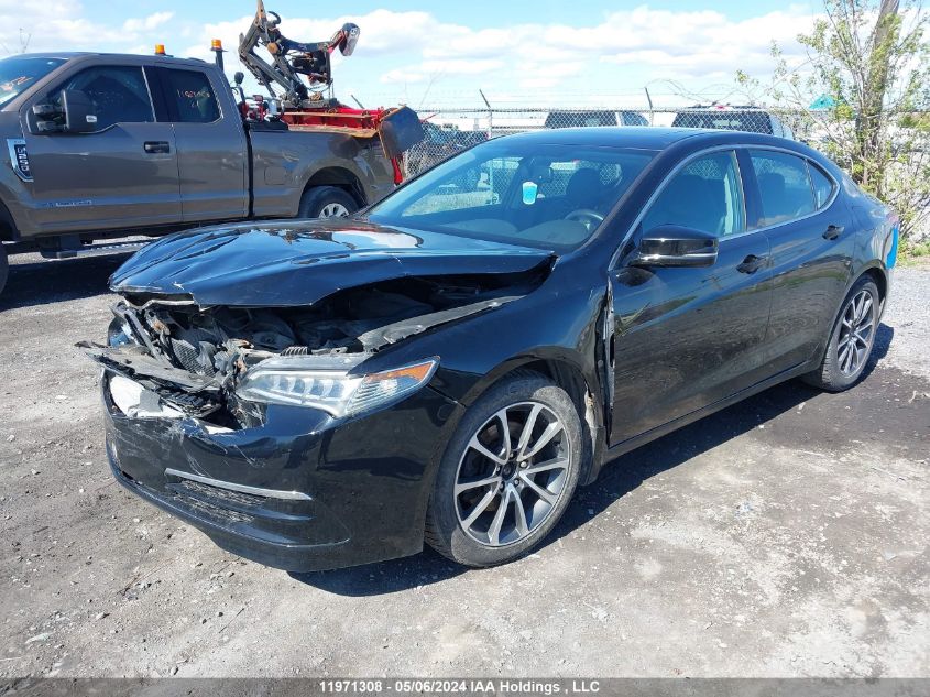 2016 Acura Tlx VIN: 19UUB3F31GA800570 Lot: 11971308