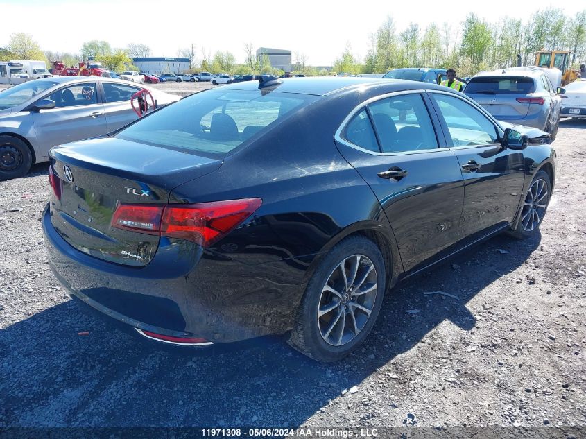 2016 Acura Tlx VIN: 19UUB3F31GA800570 Lot: 11971308