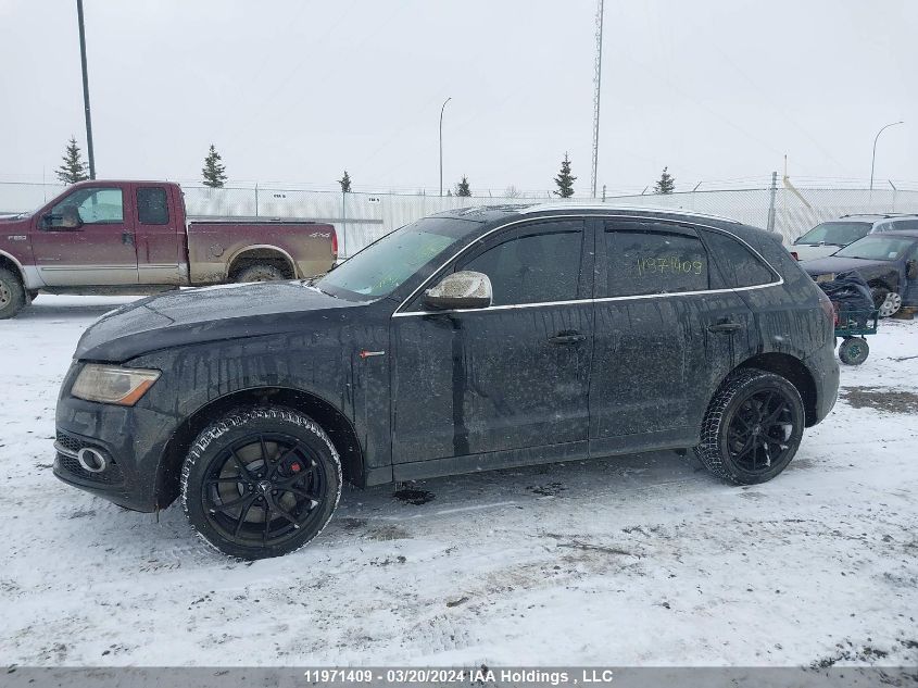 2014 Audi Q5/Sq5 VIN: WA1LGCFP8EA065916 Lot: 11971409