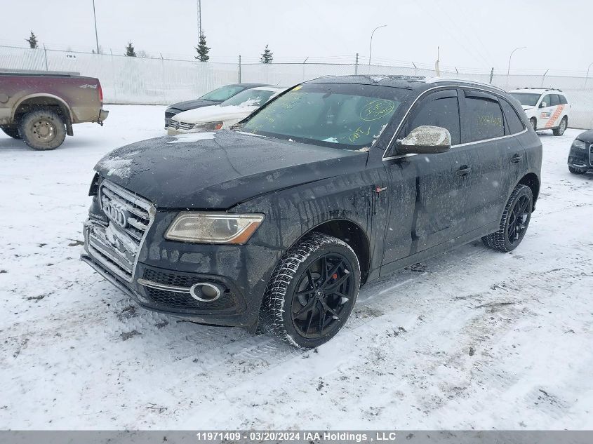 2014 Audi Q5/Sq5 VIN: WA1LGCFP8EA065916 Lot: 11971409