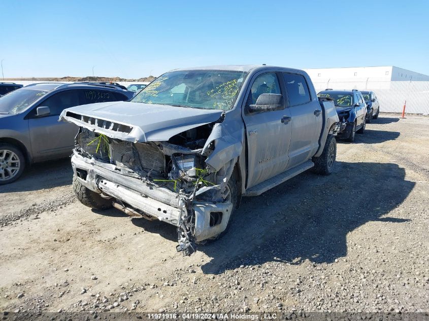 2020 Toyota Tundra VIN: 5TFDY5F10LX883844 Lot: 11971916