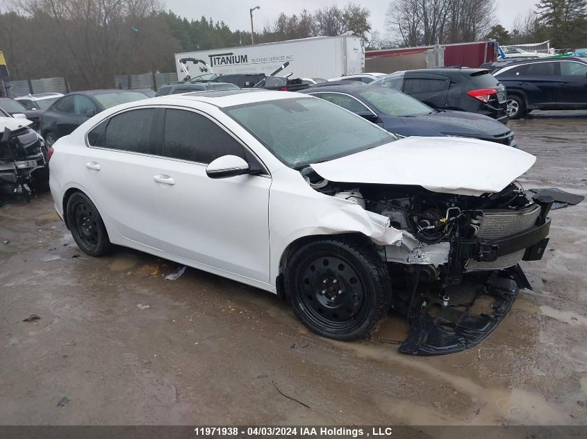 2019 Kia Forte VIN: 3KPF54AD1KE092783 Lot: 11971938