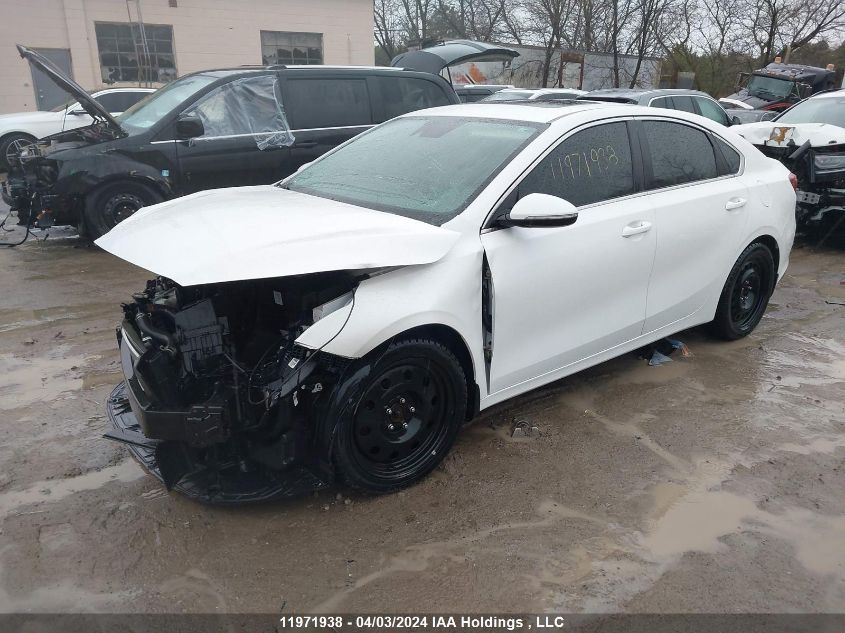 2019 Kia Forte VIN: 3KPF54AD1KE092783 Lot: 11971938