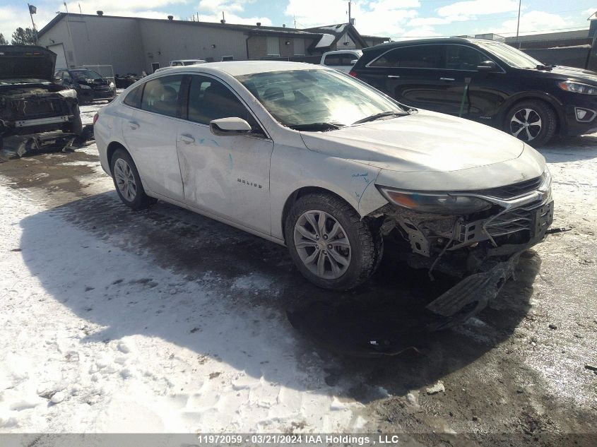 2023 Chevrolet Malibu VIN: 1G1ZD5ST3PF227876 Lot: 11972059