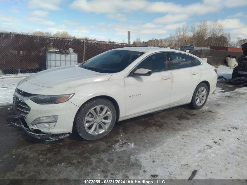 2023 Chevrolet Malibu VIN: 1G1ZD5ST3PF227876 Lot: 11972059