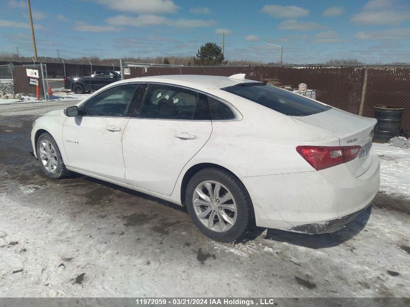 2023 Chevrolet Malibu VIN: 1G1ZD5ST3PF227876 Lot: 11972059