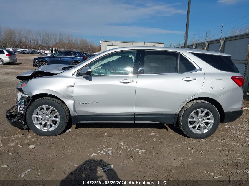 2020 Chevrolet Equinox VIN: 2GNAXUEV7L6237986 Lot: 50195854