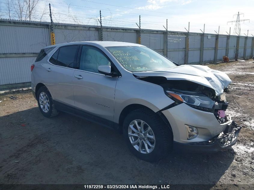 2020 Chevrolet Equinox VIN: 2GNAXUEV7L6237986 Lot: 50195854