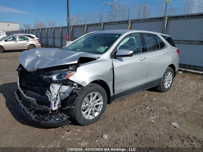 2020 Chevrolet Equinox VIN: 2GNAXUEV7L6237986 Lot: 50195854