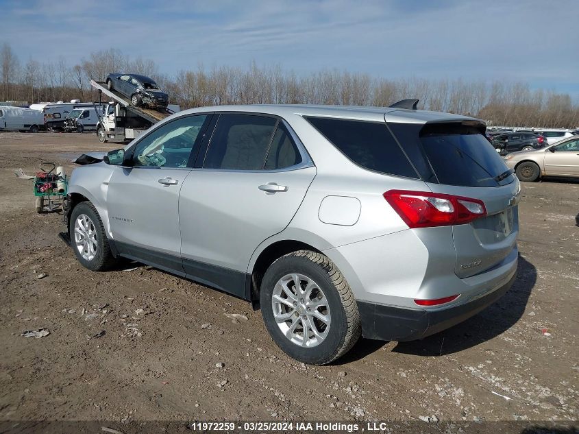 2020 Chevrolet Equinox VIN: 2GNAXUEV7L6237986 Lot: 50195854