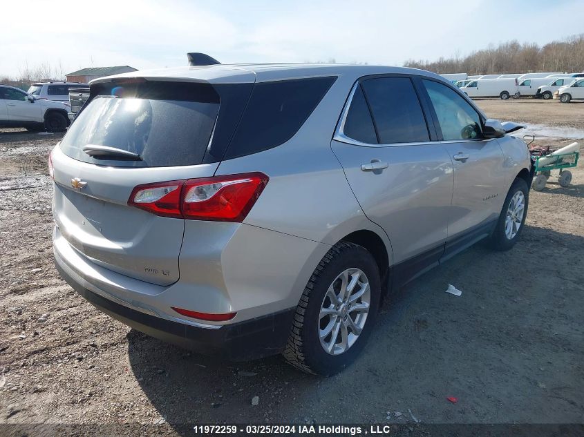 2020 Chevrolet Equinox VIN: 2GNAXUEV7L6237986 Lot: 50195854