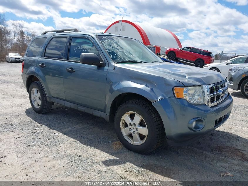 2011 Ford Escape Xlt VIN: 1FMCU0DG5BKB93774 Lot: 11972412