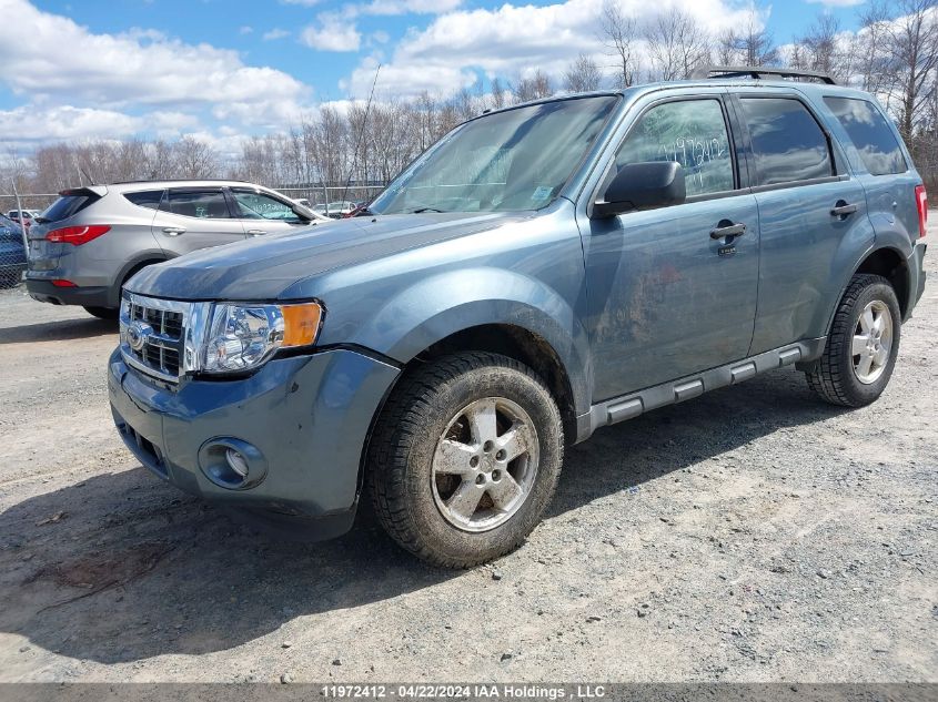 2011 Ford Escape Xlt VIN: 1FMCU0DG5BKB93774 Lot: 11972412