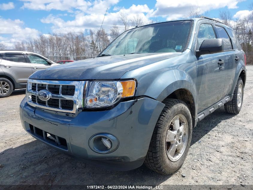 2011 Ford Escape Xlt VIN: 1FMCU0DG5BKB93774 Lot: 11972412