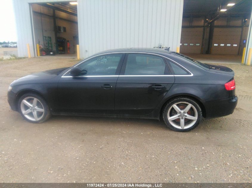 2010 Audi A4 Premium Plus VIN: WAUFFCFL6AN052536 Lot: 11972424