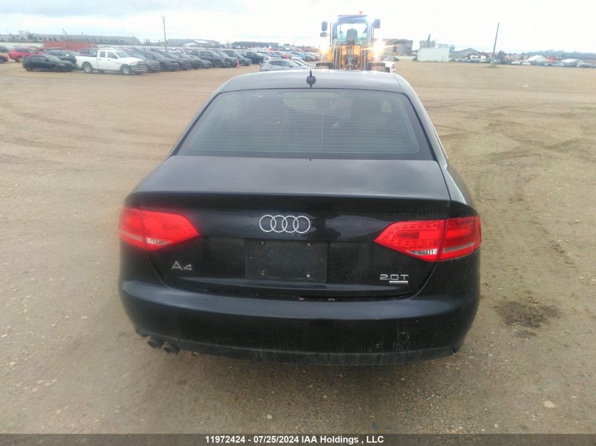 2010 Audi A4 Premium Plus VIN: WAUFFCFL6AN052536 Lot: 11972424