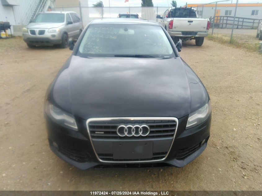 2010 Audi A4 Premium Plus VIN: WAUFFCFL6AN052536 Lot: 11972424