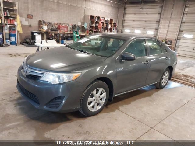 2013 Toyota Camry Le/Se/Xle VIN: 4T1BF1FK2DU219719 Lot: 11972639