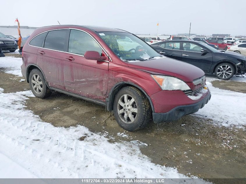 2008 Honda Cr-V VIN: 5J6RE48798L812645 Lot: 11972704