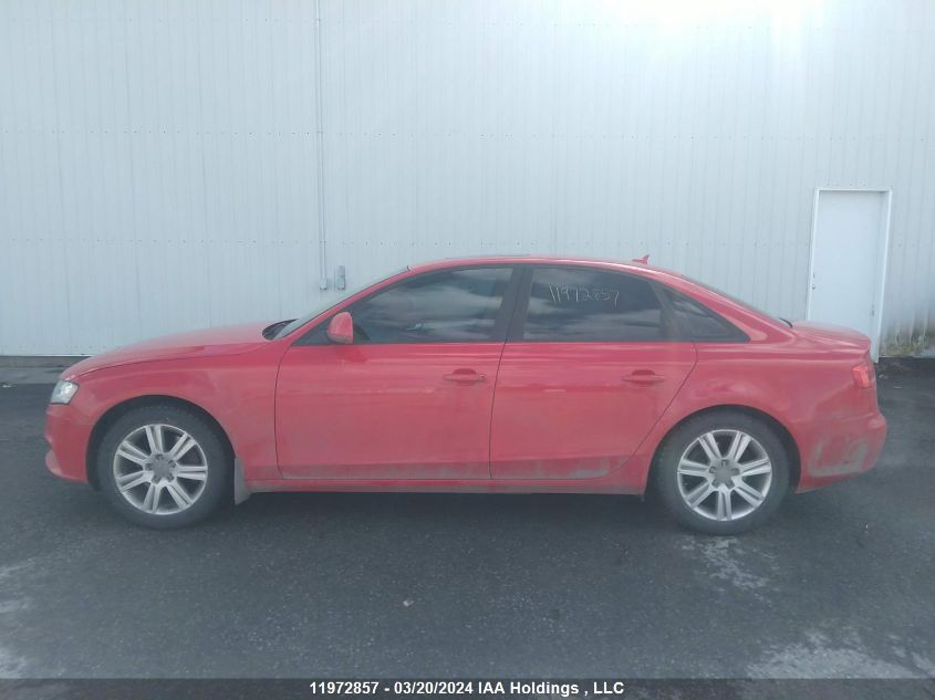 2009 Audi A4 VIN: WAULF68K29N052411 Lot: 51435234