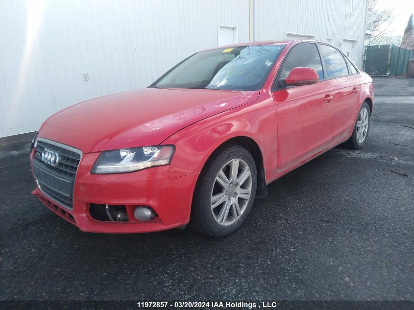 2009 Audi A4 VIN: WAULF68K29N052411 Lot: 51435234