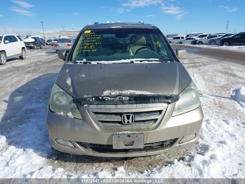 2007 Honda Odyssey VIN: 5FNRL38807B514081 Lot: 11972947