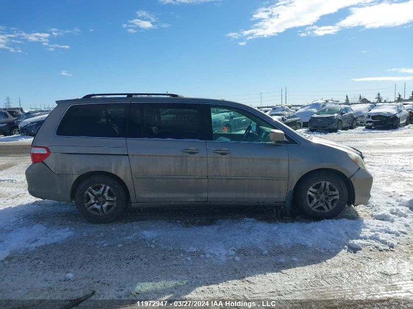 2007 Honda Odyssey VIN: 5FNRL38807B514081 Lot: 11972947