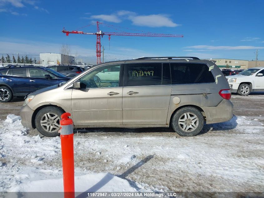 2007 Honda Odyssey VIN: 5FNRL38807B514081 Lot: 11972947