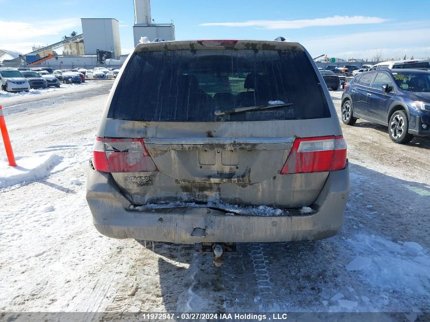 2007 Honda Odyssey VIN: 5FNRL38807B514081 Lot: 11972947