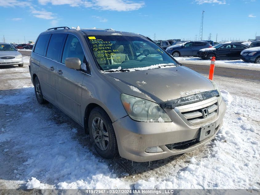 2007 Honda Odyssey VIN: 5FNRL38807B514081 Lot: 11972947