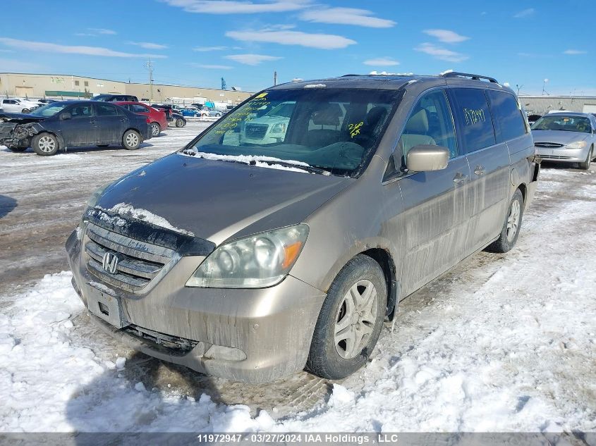 2007 Honda Odyssey VIN: 5FNRL38807B514081 Lot: 11972947