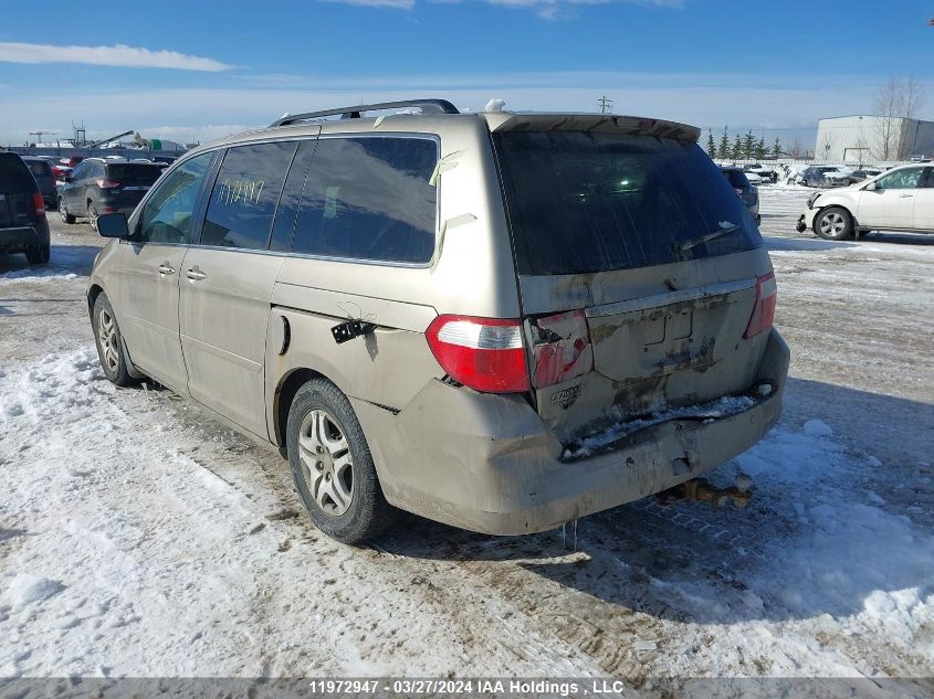 2007 Honda Odyssey VIN: 5FNRL38807B514081 Lot: 11972947