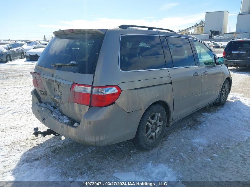 2007 Honda Odyssey VIN: 5FNRL38807B514081 Lot: 11972947