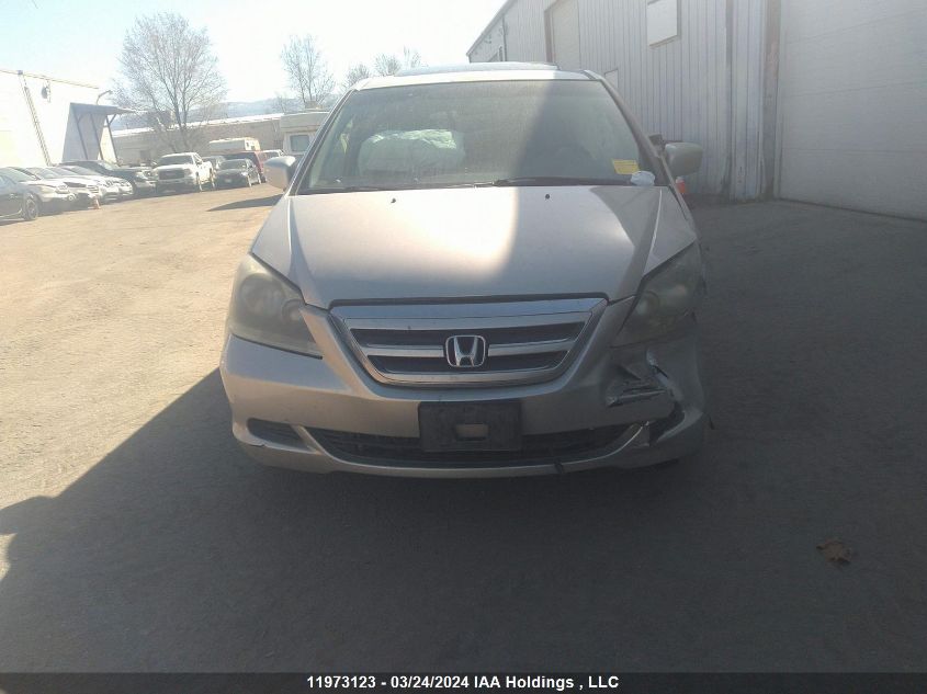 2007 Honda Odyssey VIN: 5FNRL387X7B504245 Lot: 11973123