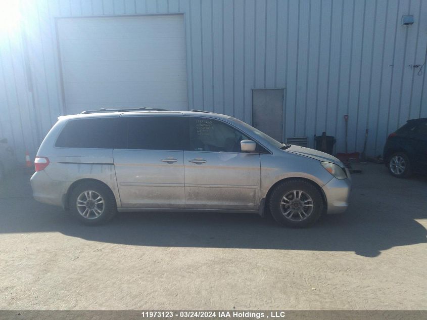 2007 Honda Odyssey VIN: 5FNRL387X7B504245 Lot: 11973123