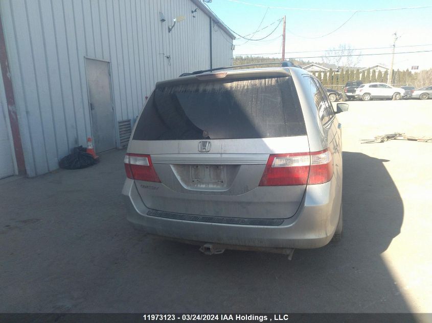 2007 Honda Odyssey VIN: 5FNRL387X7B504245 Lot: 11973123