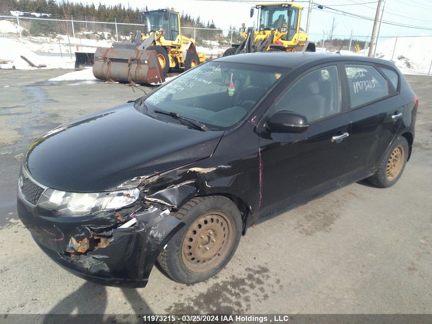 2012 Kia Forte Ex VIN: KNAFU5A28C5520656 Lot: 11973215