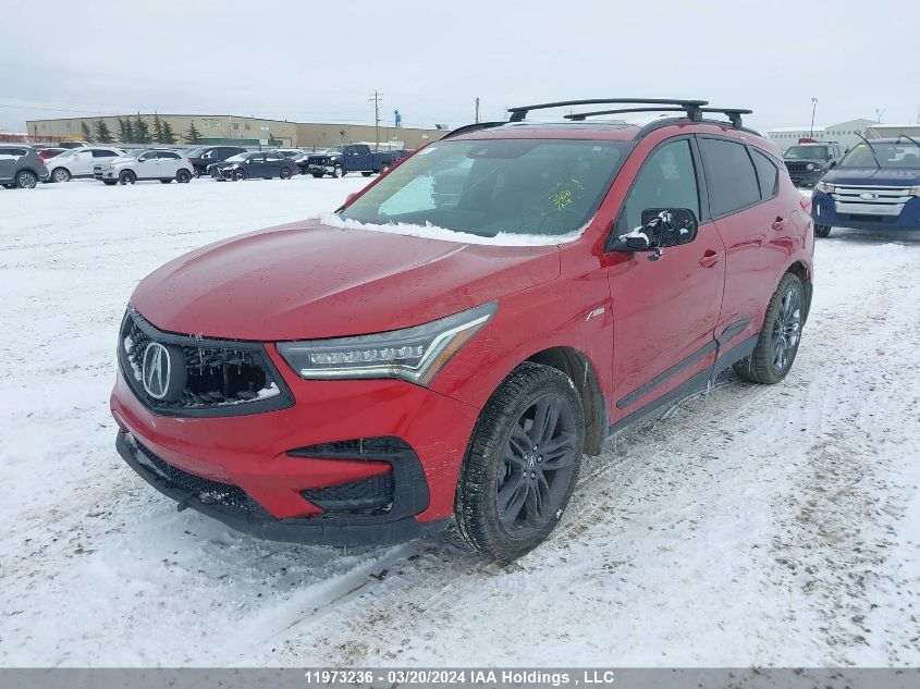 2019 Acura Rdx A-Spec VIN: 5J8TC2H61KL801404 Lot: 50311994