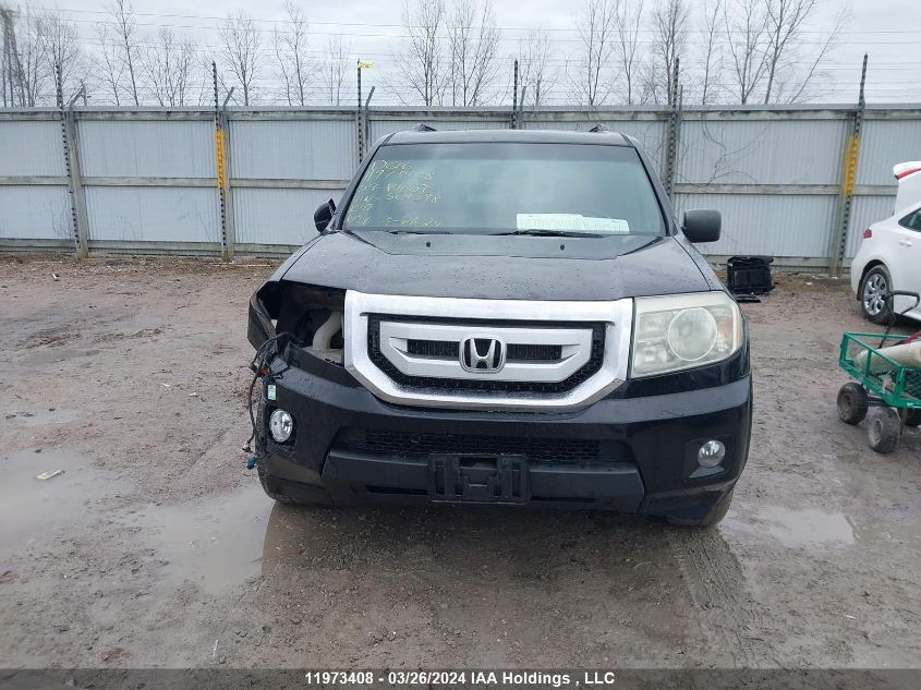 2009 Honda Pilot VIN: 5FNYF485X9B504398 Lot: 11973408