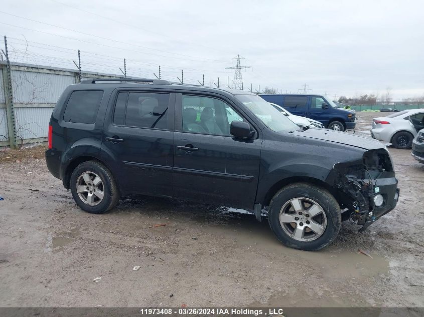 2009 Honda Pilot VIN: 5FNYF485X9B504398 Lot: 11973408