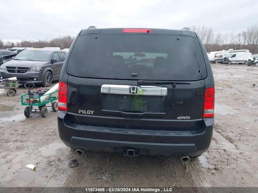 2009 Honda Pilot VIN: 5FNYF485X9B504398 Lot: 11973408