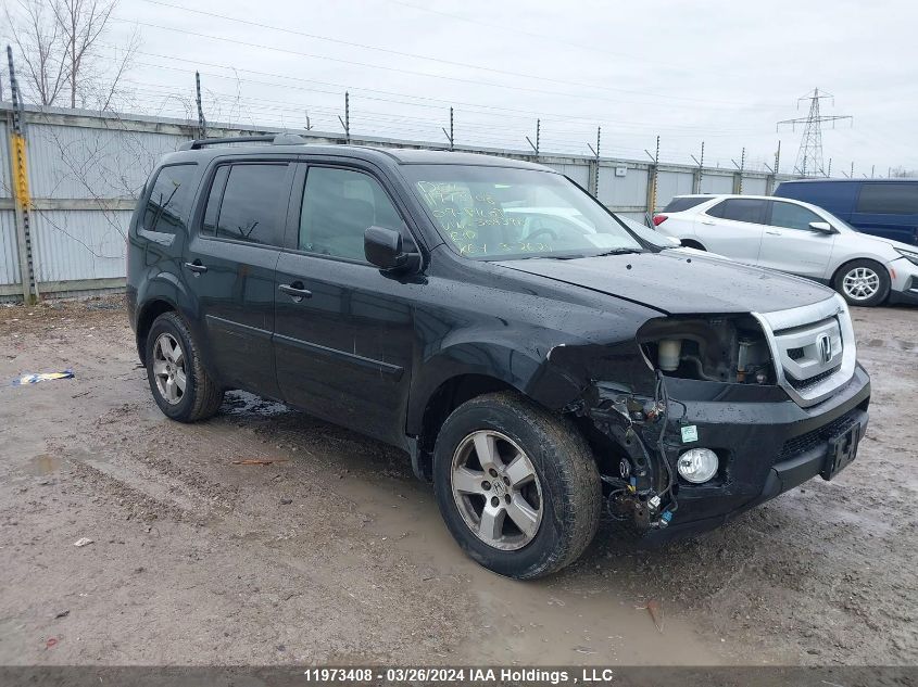 2009 Honda Pilot VIN: 5FNYF485X9B504398 Lot: 11973408