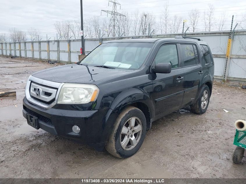 2009 Honda Pilot VIN: 5FNYF485X9B504398 Lot: 11973408