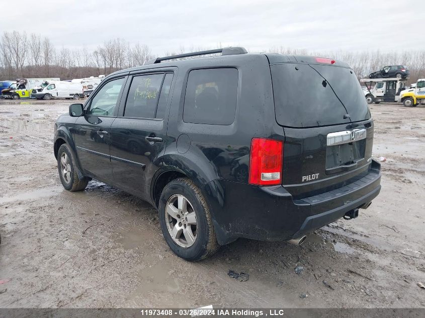 2009 Honda Pilot VIN: 5FNYF485X9B504398 Lot: 11973408