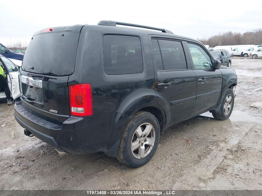 2009 Honda Pilot VIN: 5FNYF485X9B504398 Lot: 11973408