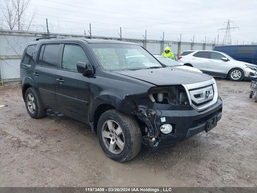 2009 Honda Pilot VIN: 5FNYF485X9B504398 Lot: 11973408